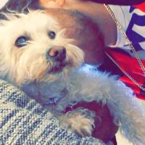 Meet your Posher, Devon blake